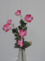 Vlijtig liesje 50cm roze - 12 stuks 
